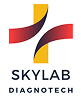 Skylab Logo